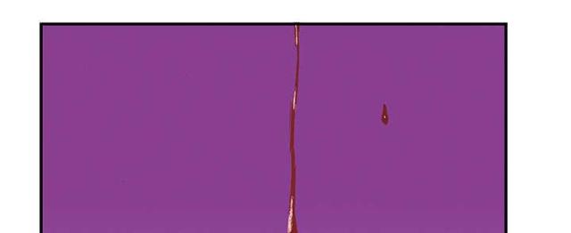 乌鸦神偷的遗产评测漫画,第37话2图