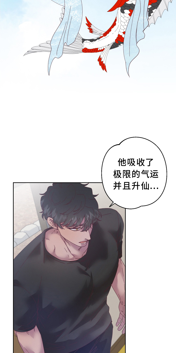 金虎刹邪又叫什么漫画,第46章：最好的办法2图