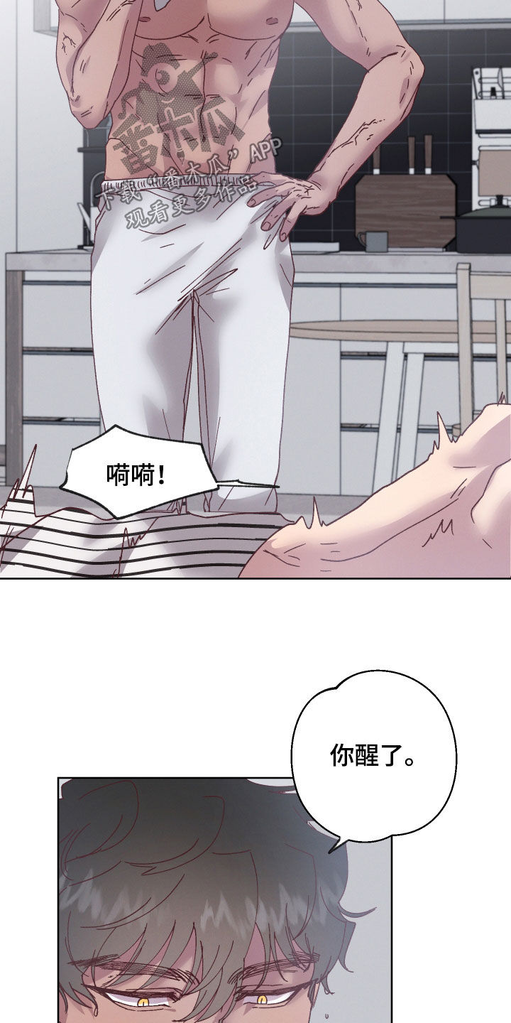 金虎煞神漫画,第20章：和他有关1图