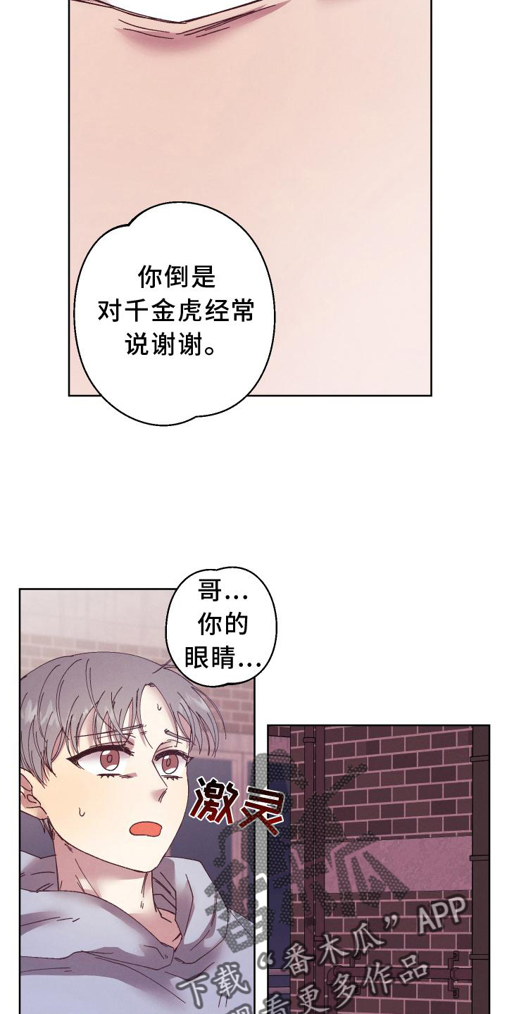 金虎家具属于几线品牌漫画,第51章：袭击2图