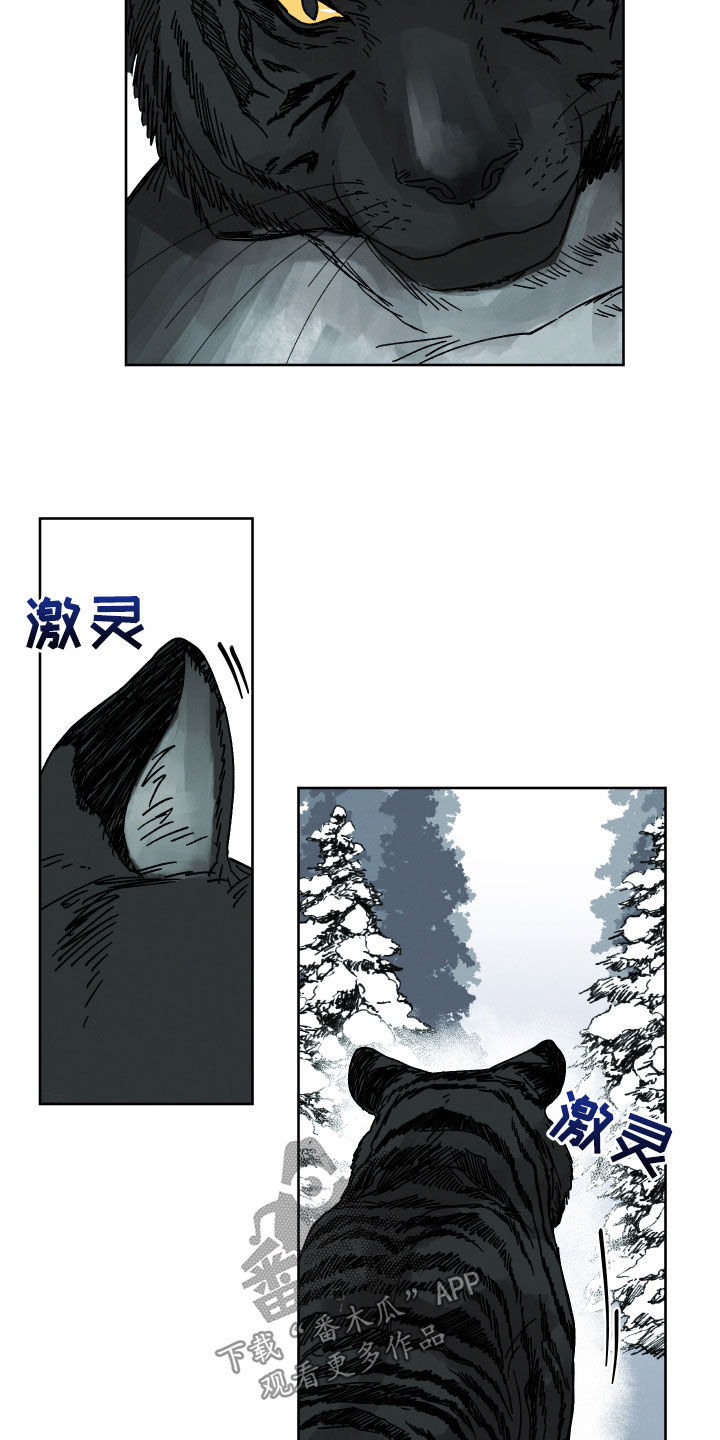 金虎刹邪漫画,第19章：命运自己找来2图