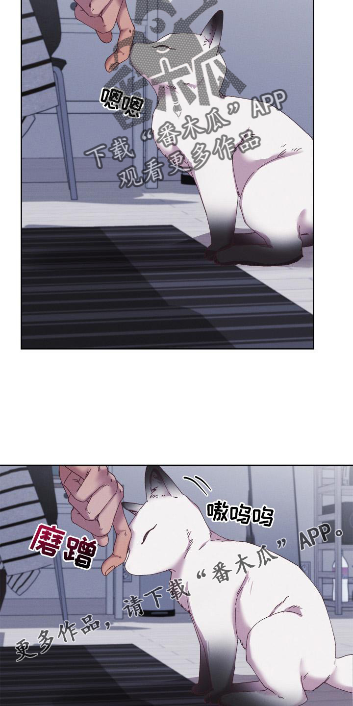 金虎刹邪漫画,第60章：守护【第一季完结】1图