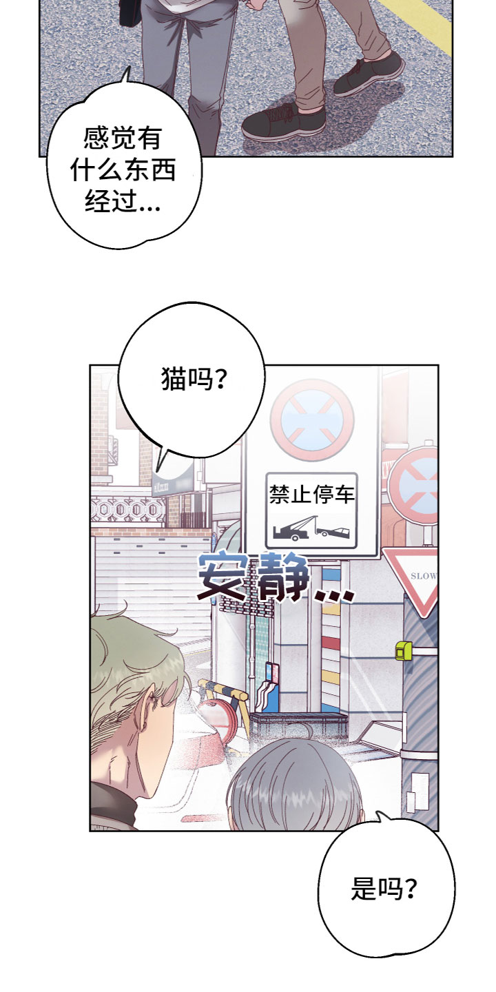 金虎凶猛吗漫画,第2章：奇怪黑影2图