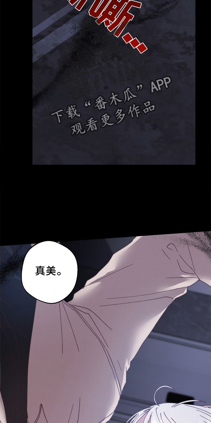 金虎年漫画,第54章：保护1图