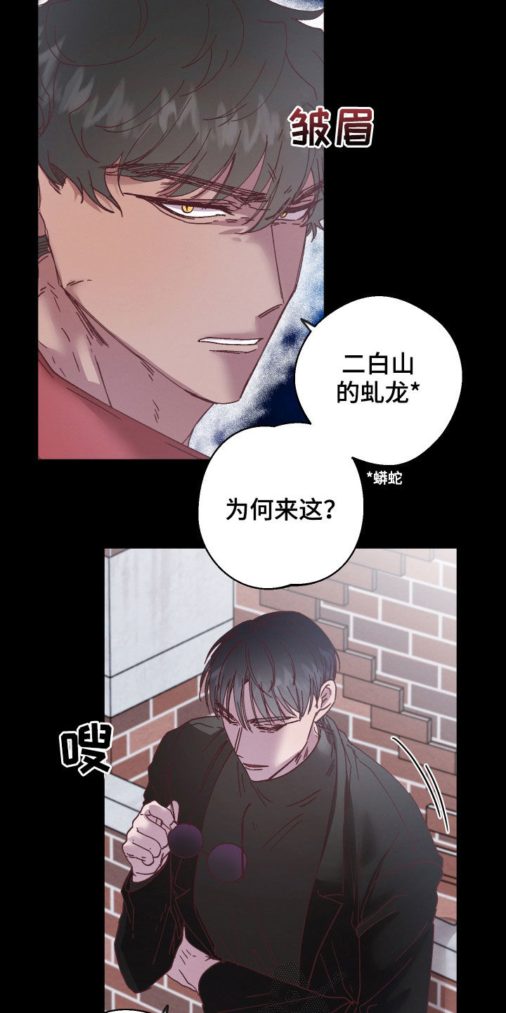 金虎命是什么意思漫画,第20章：和他有关2图