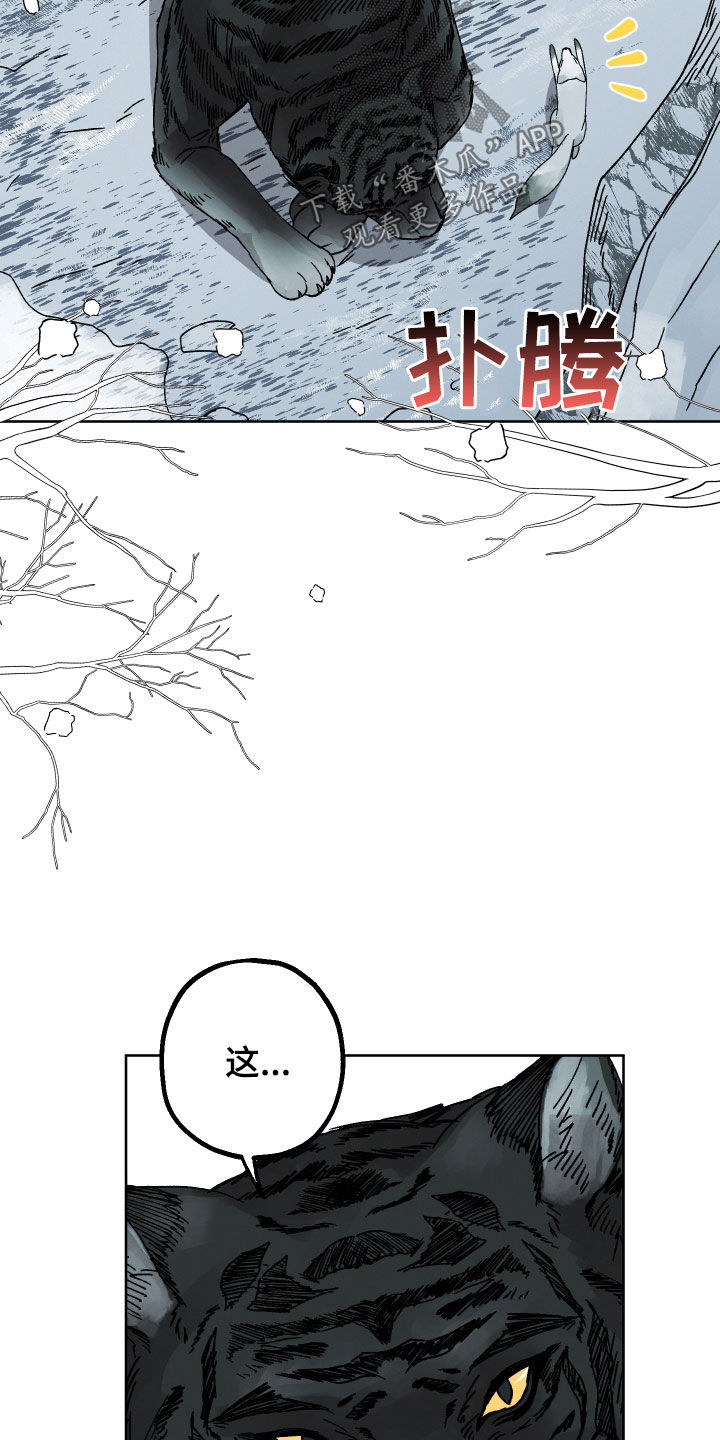 金虎刹邪漫画,第19章：命运自己找来1图