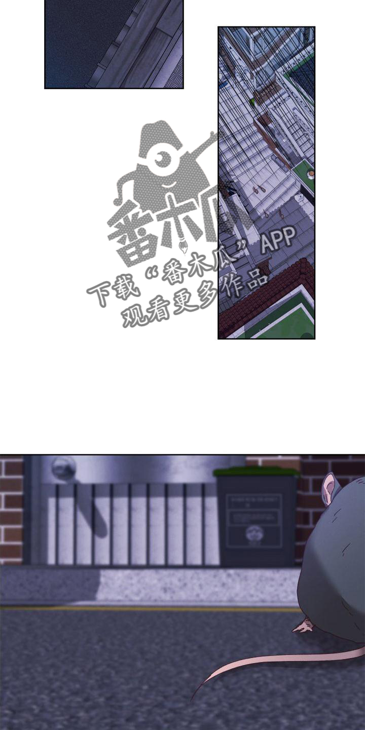 金虎刹邪漫画,第55章：拖延1图