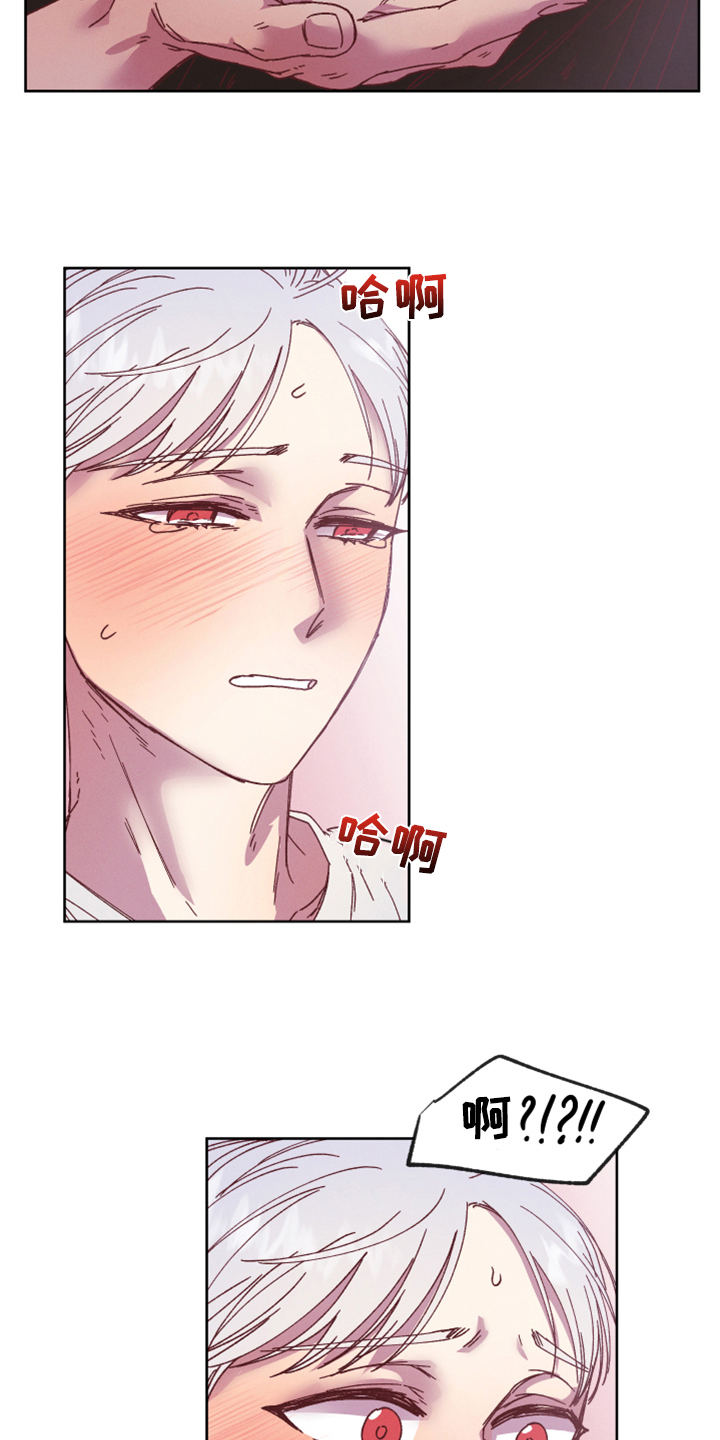 金虎命是什么意思漫画,第17章：今天死不掉1图