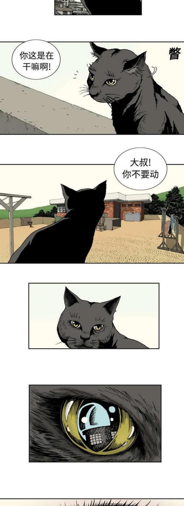 猛龙回乡漫画,第2话1图