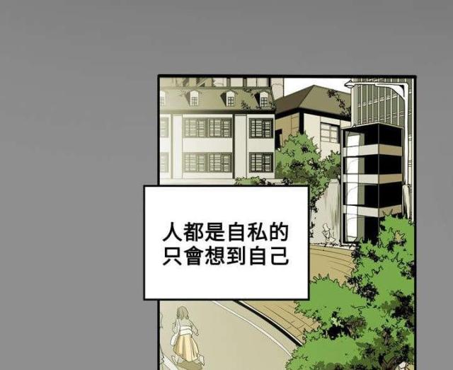 温柔的谎言王鸥漫画,第14话1图