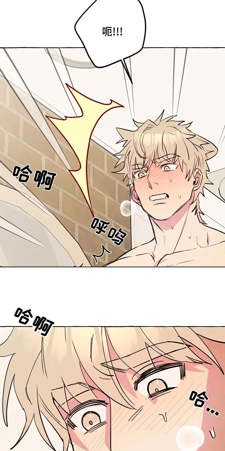 忠犬八公三洞桥漫画,第47章：【第二季】喜欢2图