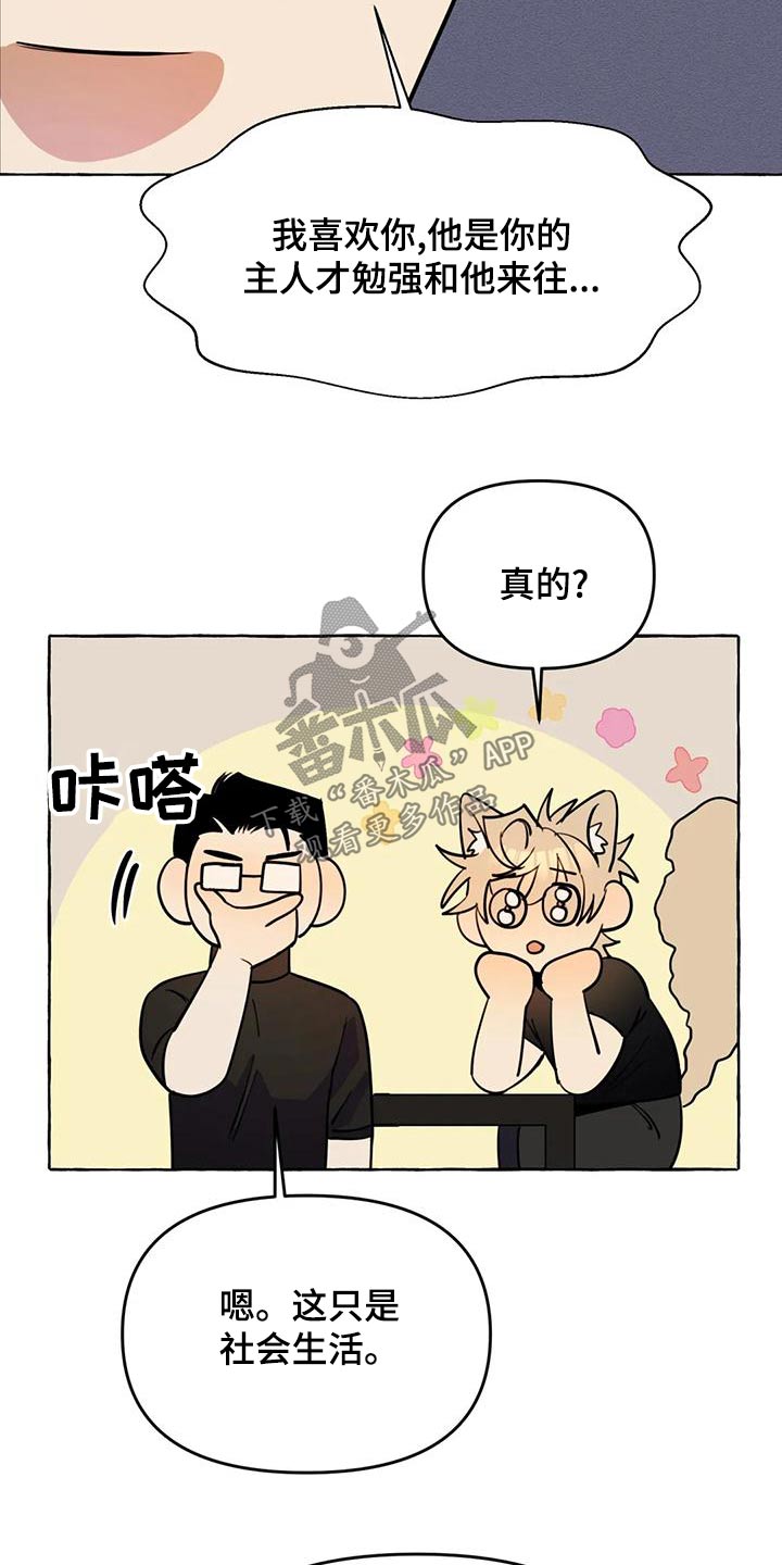 忠犬八公真实原型漫画,第46章：【第二季】乱七八糟2图