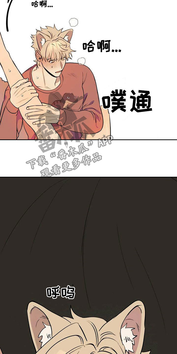 忠犬三三又称漫画,第24章：短信2图