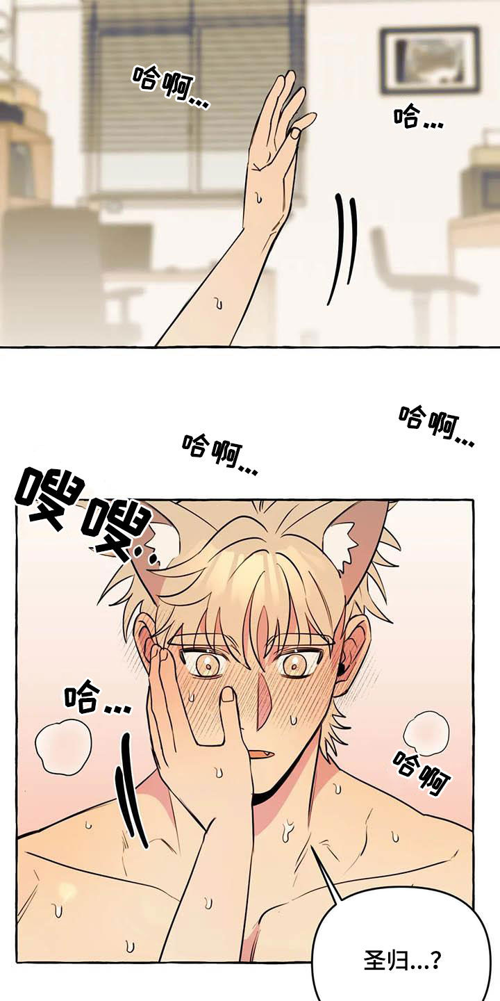 忠犬三三漫画,第24章：短信2图