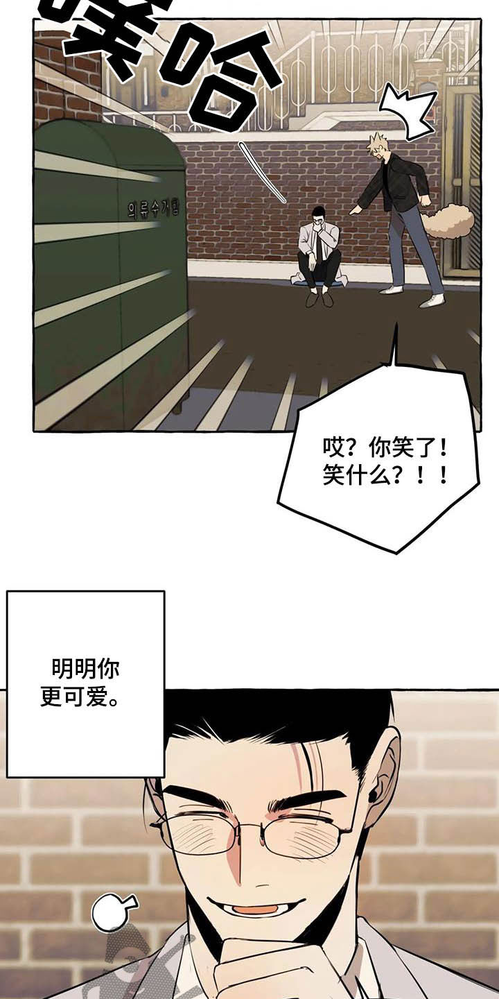 忠犬奴隶的小说漫画,第16章：做饭2图