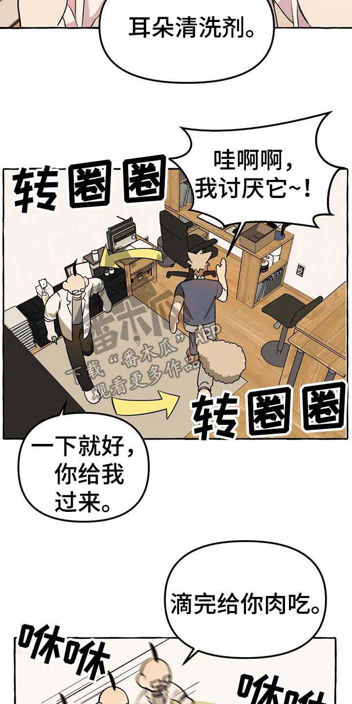 忠犬奴隶的小说漫画,第20章：手机2图