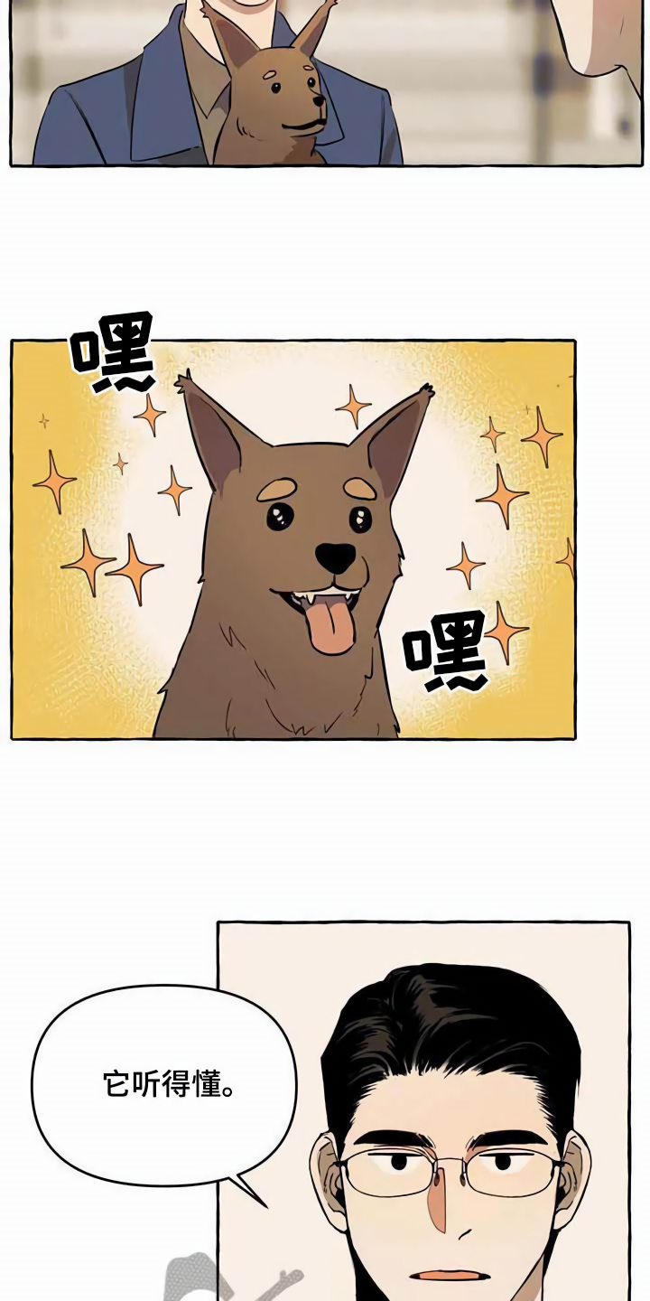 忠犬三三还叫什么名字漫画,第12章：善良1图