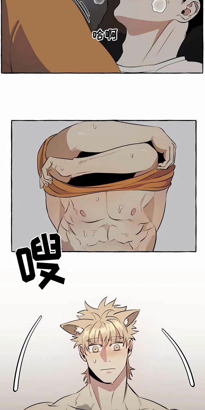 忠犬三三漫画全集免费下拉式漫画,第8章：无法拒绝1图