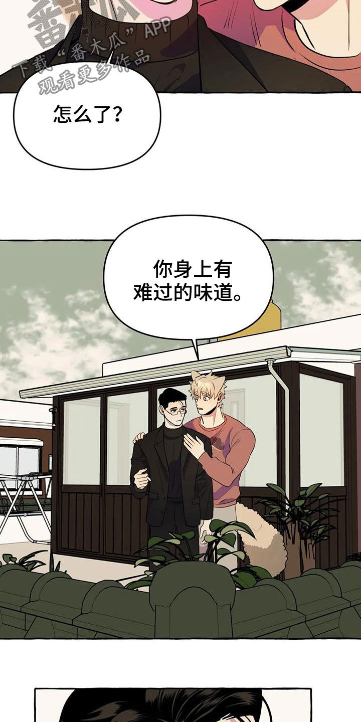 忠犬三三还叫什么名字漫画,第22章：命中注定1图