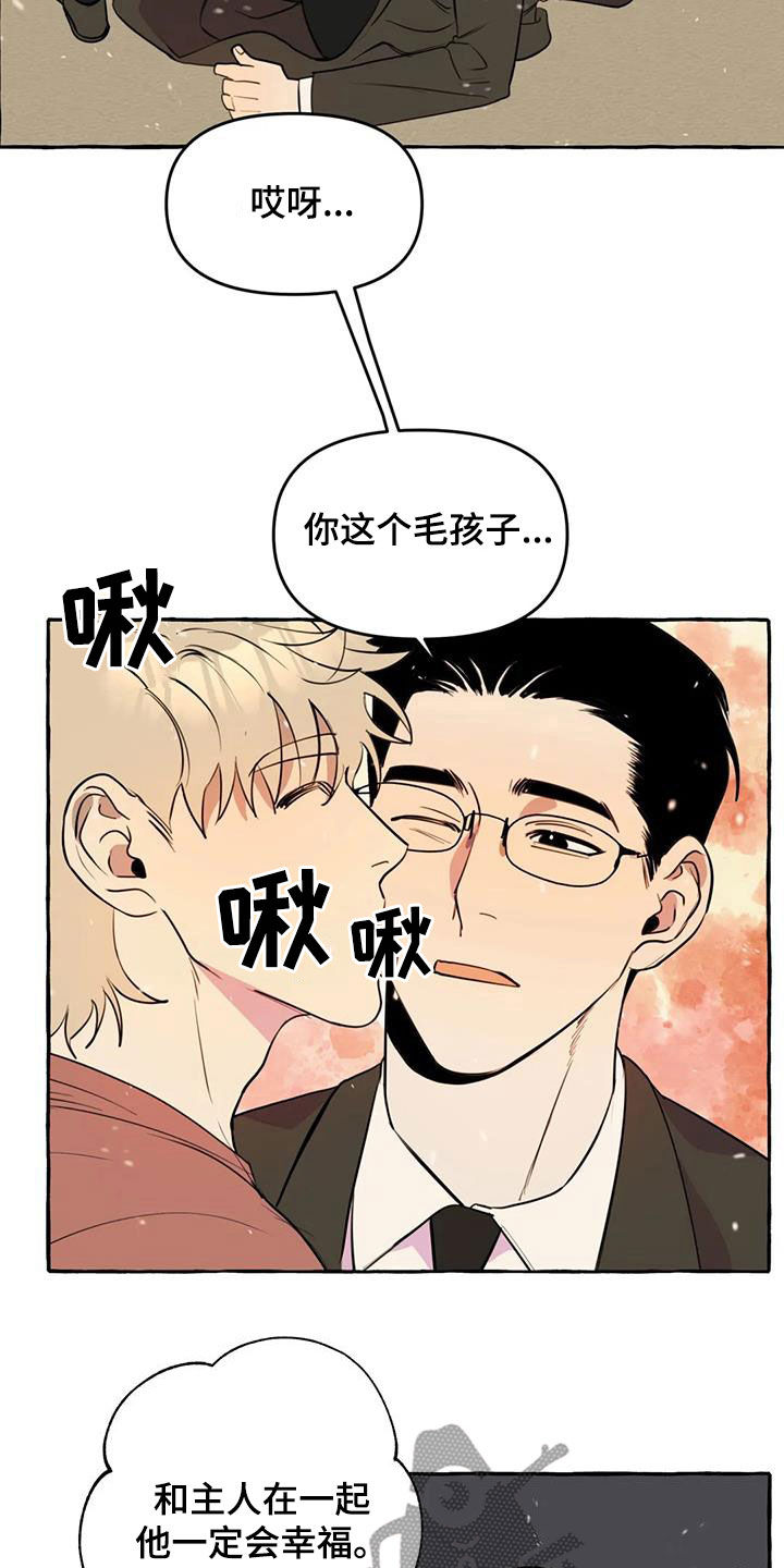 忠犬厂公漫画,第27章：最后一天1图