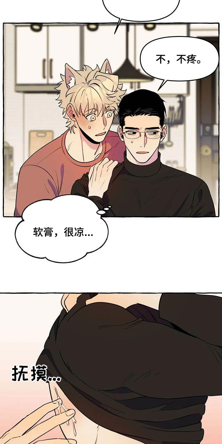 忠犬八公物语漫画,第23章：涂药1图