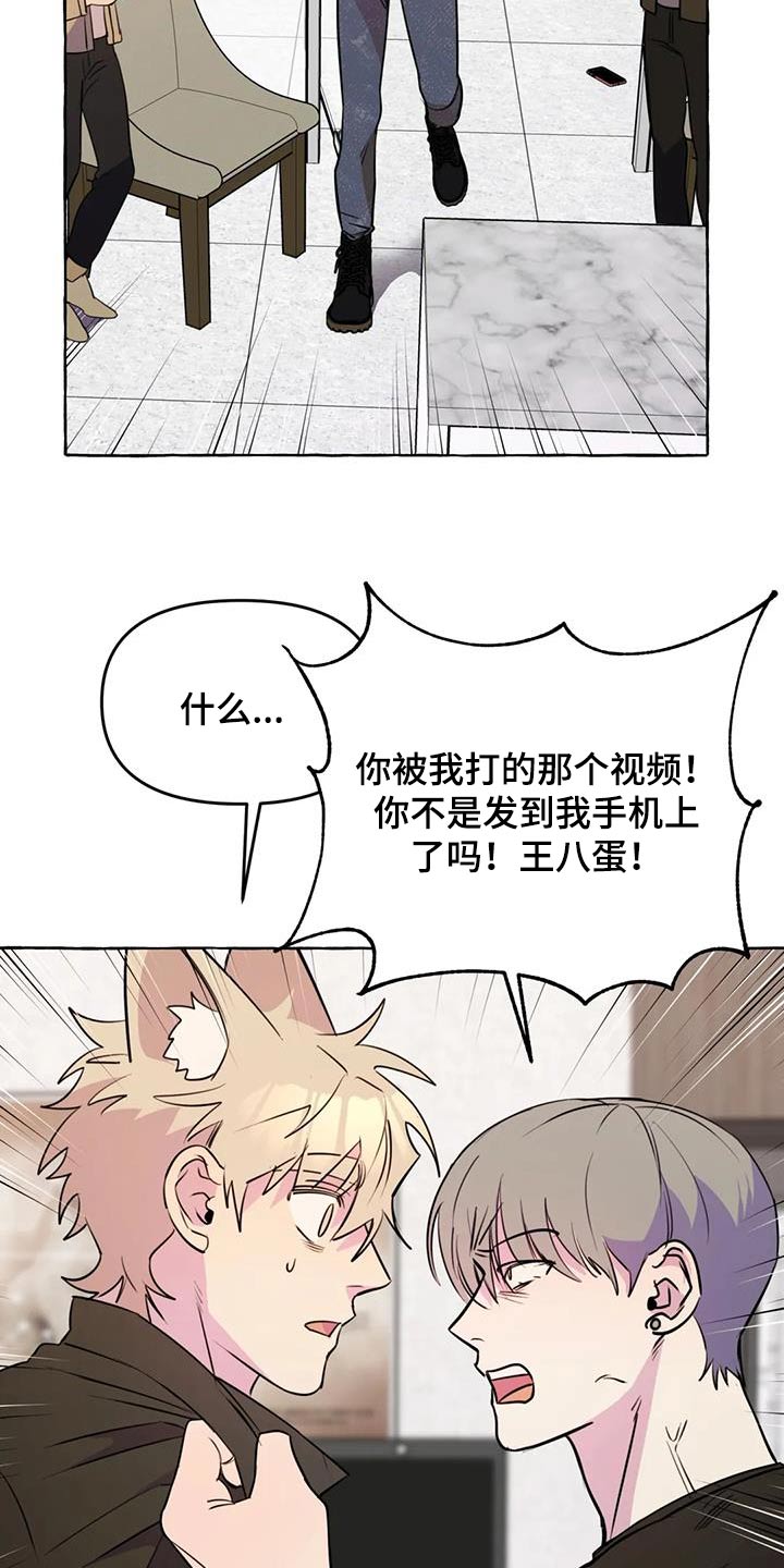 忠犬八公柴府三小只片段漫画,第66章：【第二季】打闹一场1图