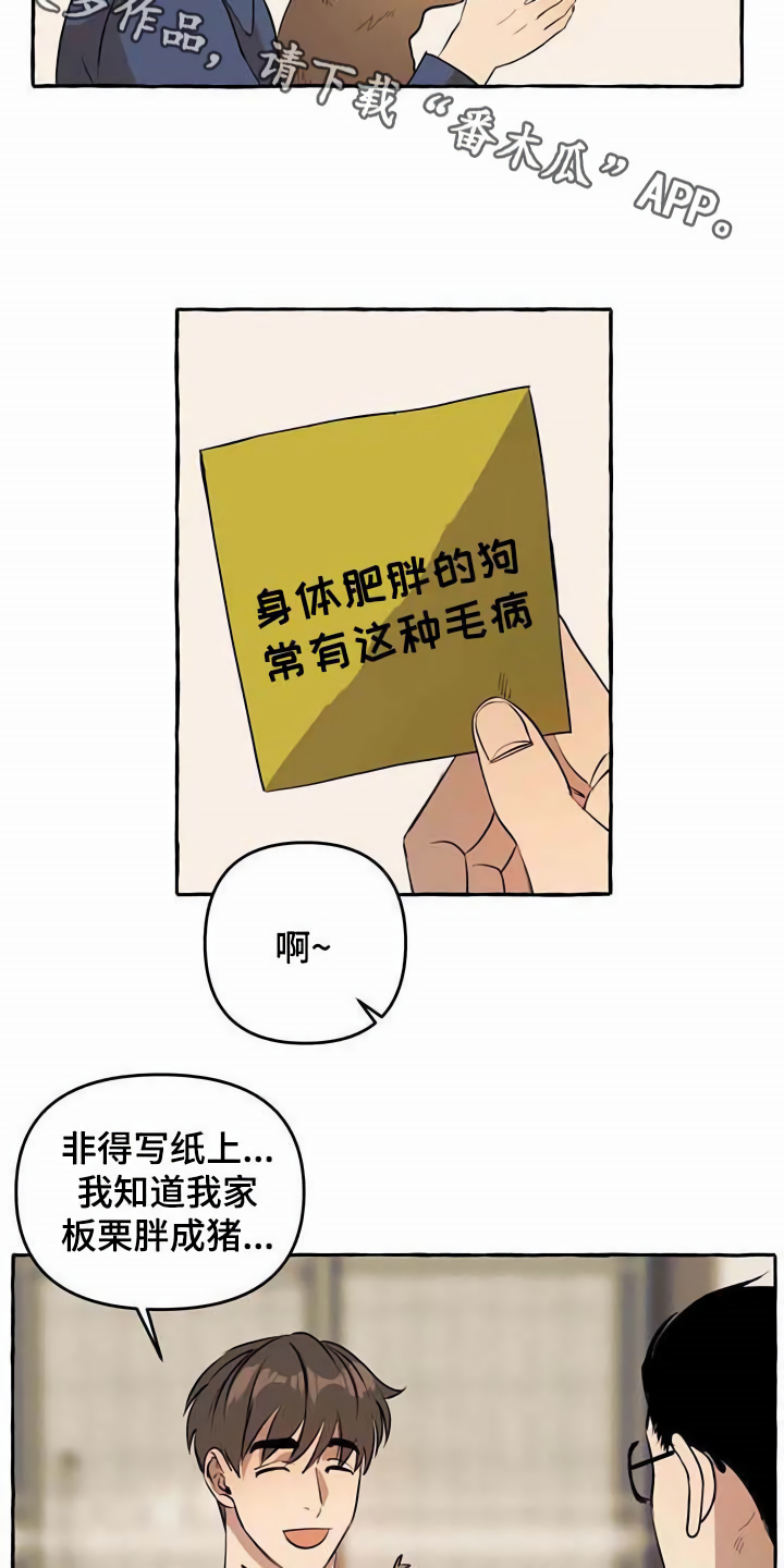 忠犬帕尔玛电影漫画,第12章：善良2图