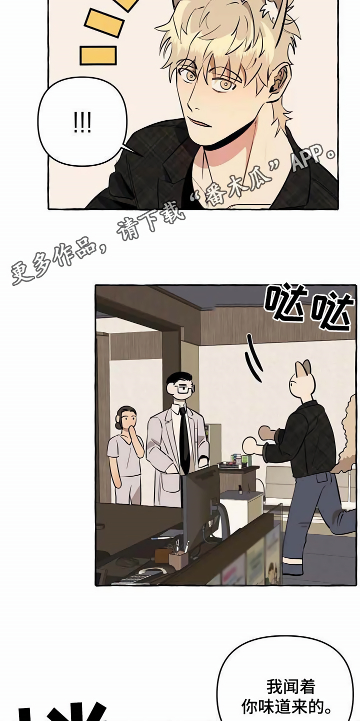 忠犬知乎漫画,第11章：不老实2图