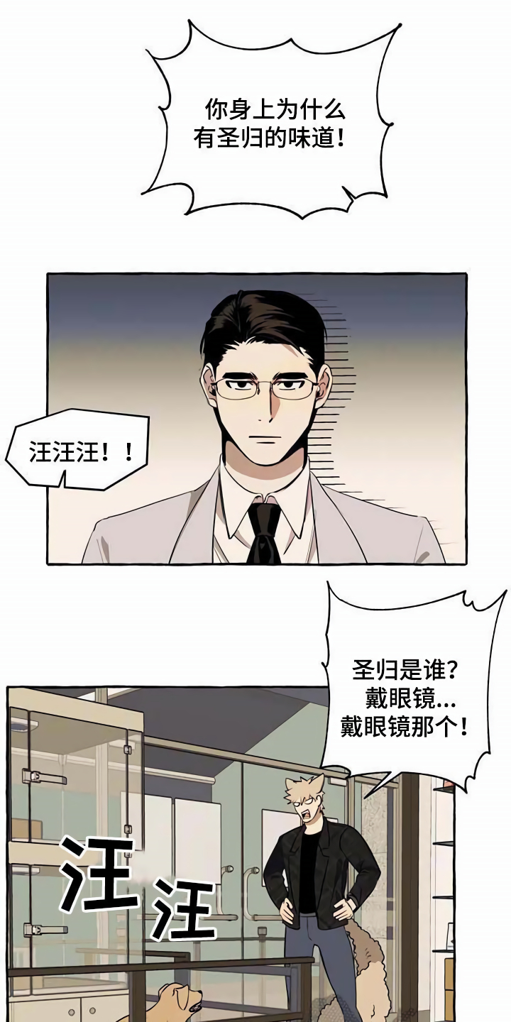 忠犬八公柴府三小只片段漫画,第11章：不老实1图