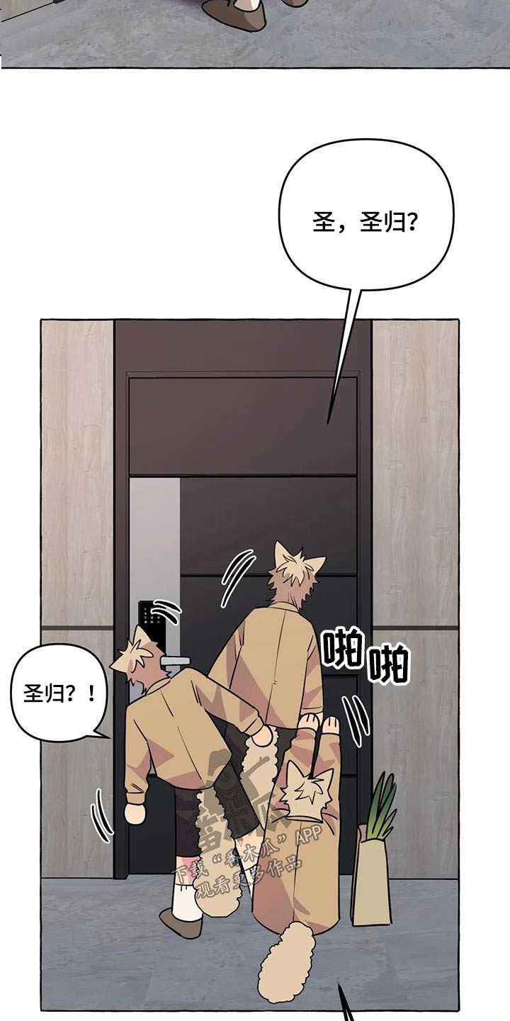 忠犬守墓两年被救助后续漫画,第68章：【第二季】欢迎1图