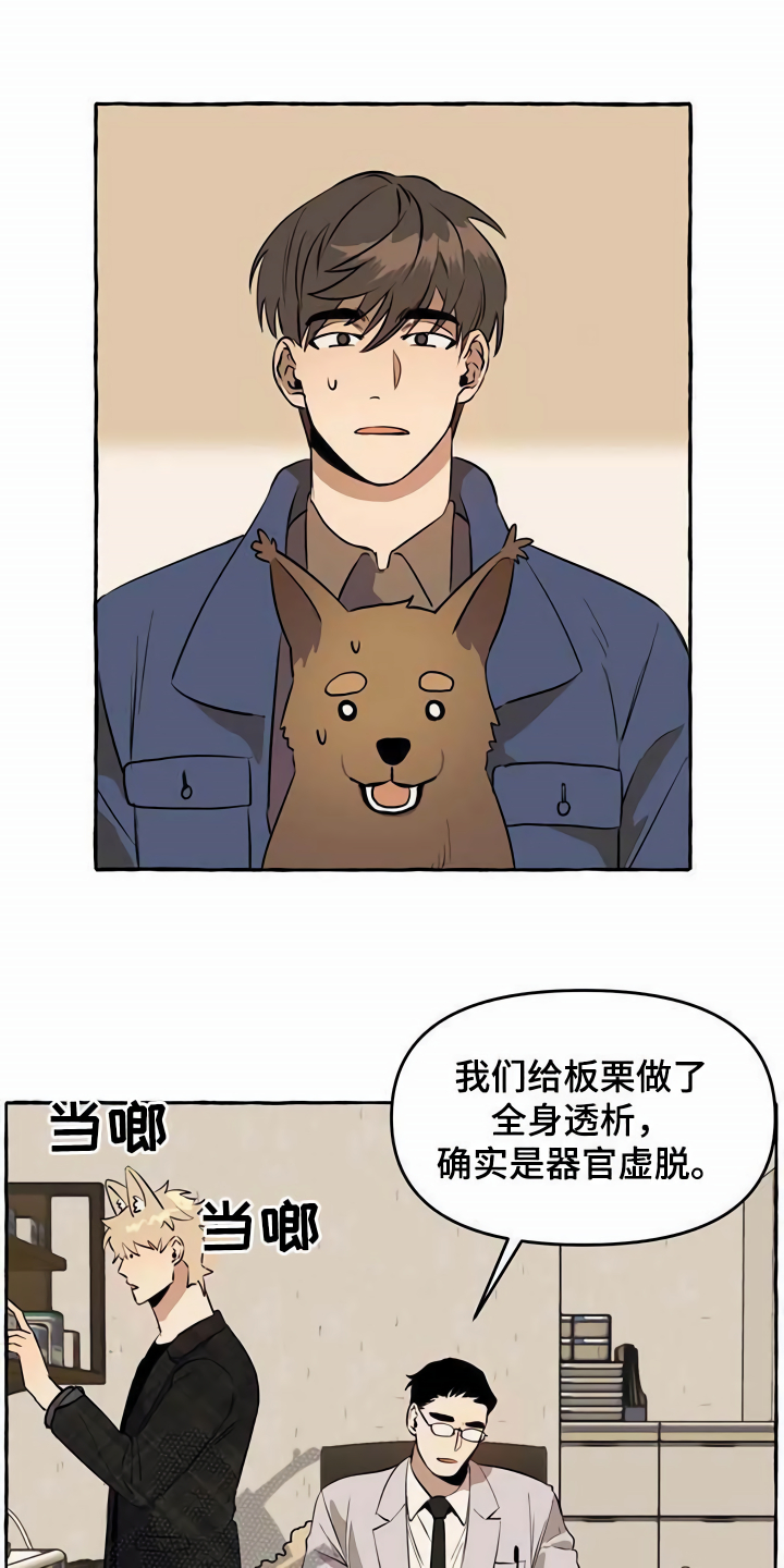 忠犬三三漫画,第12章：善良1图