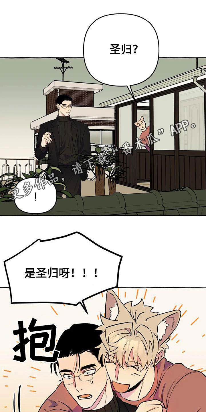 忠犬三井漫画,第22章：命中注定1图