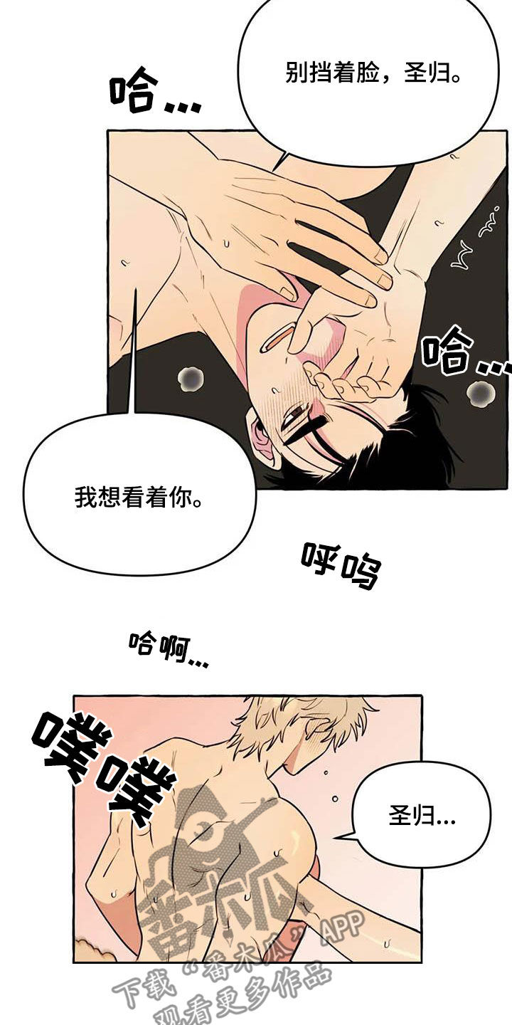 忠犬八公免费观看完整漫画,第24章：短信1图