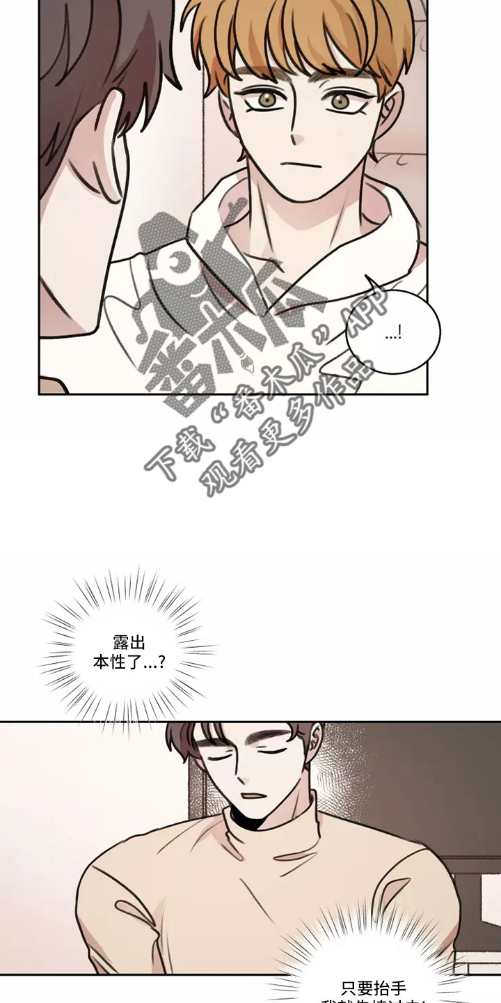 神鹰中讯漫画,第62章：【第二季】负责可爱2图