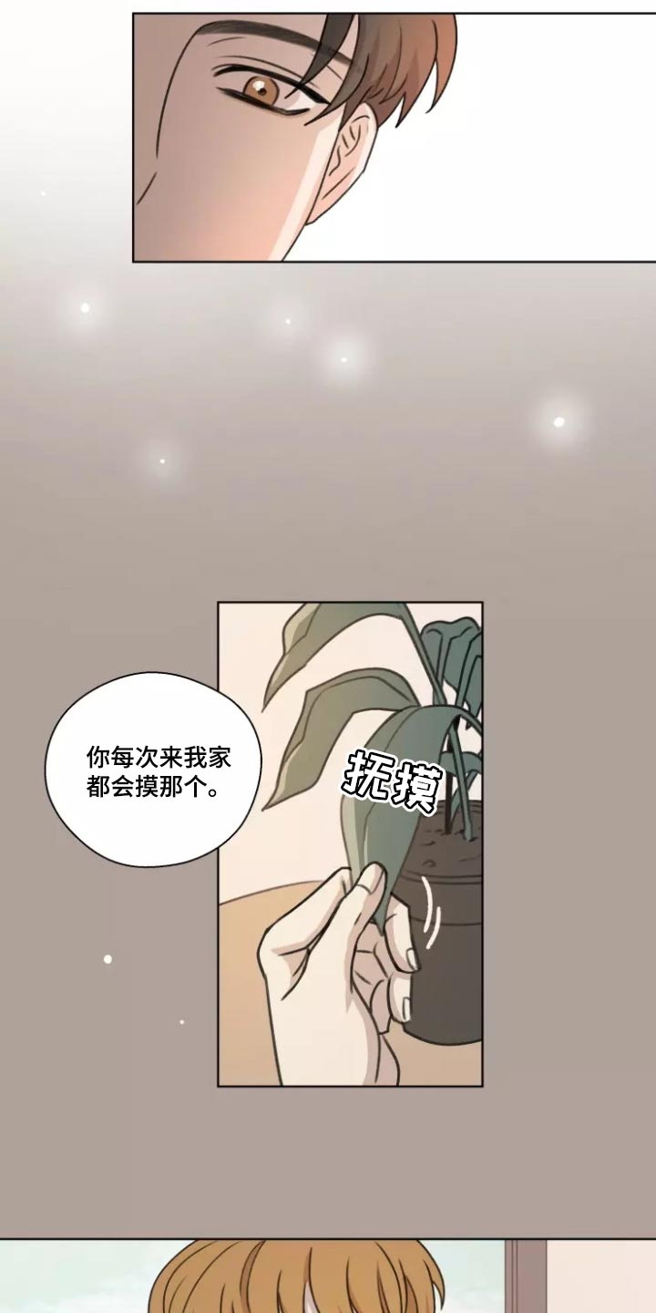 身影敏捷难以捉摸打一生肖漫画,第38章：【第二季】突然拜访2图