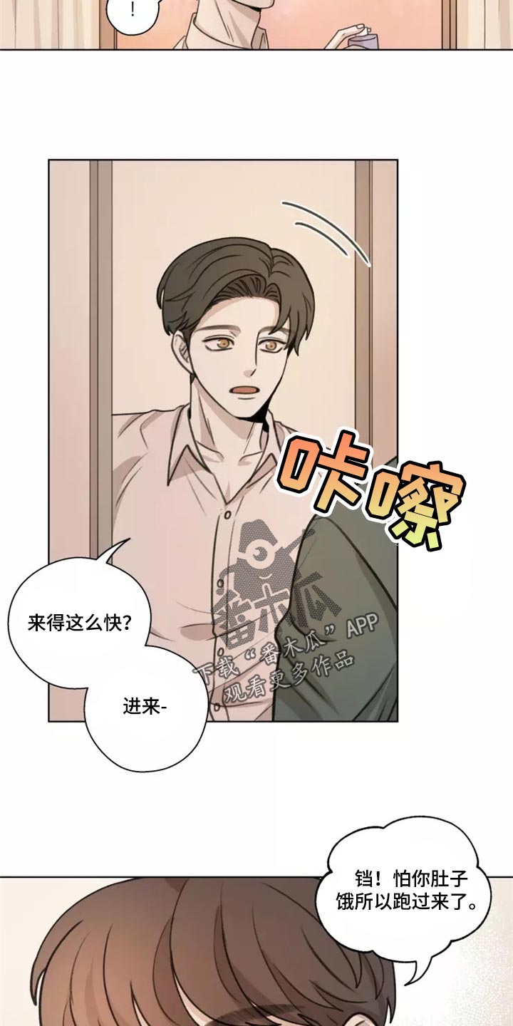 身影图片大全漫画,第39章：【第二季】悲伤2图