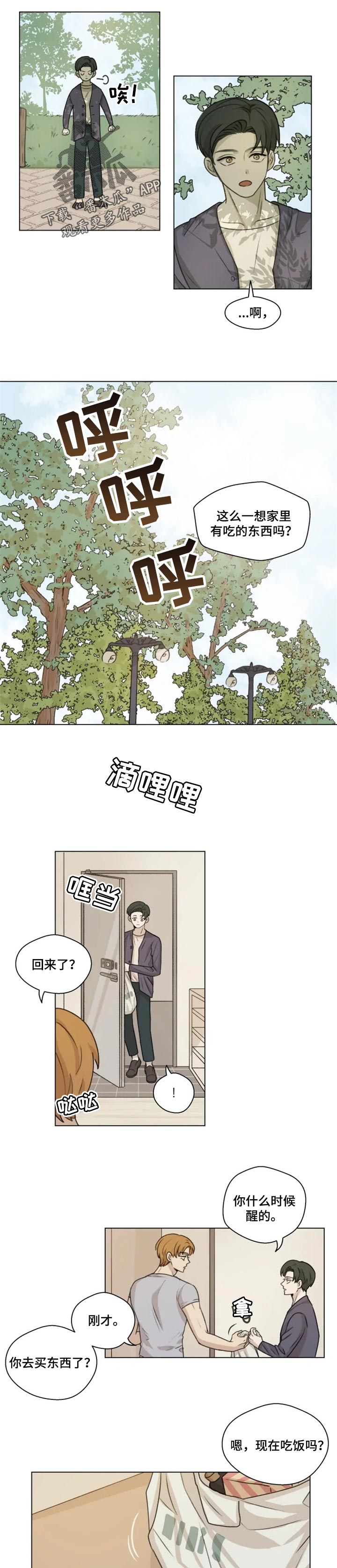 神鹰中讯漫画,第19章：分量2图