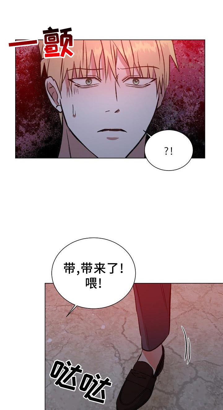 新的牢笼漫画,第48章：物以类聚1图