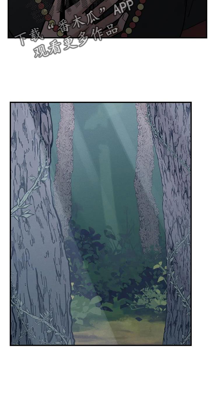 暴君第三季漫画,第53章：我来带路1图