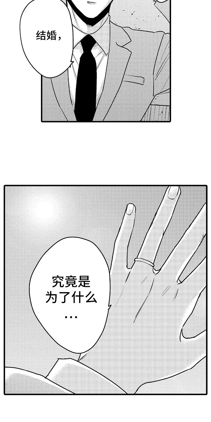 电影婚姻协奏曲漫画,第10章：坏消息电话2图