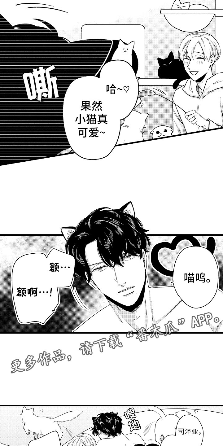 婚姻协议去哪里公证漫画,第15章：比那更重要2图