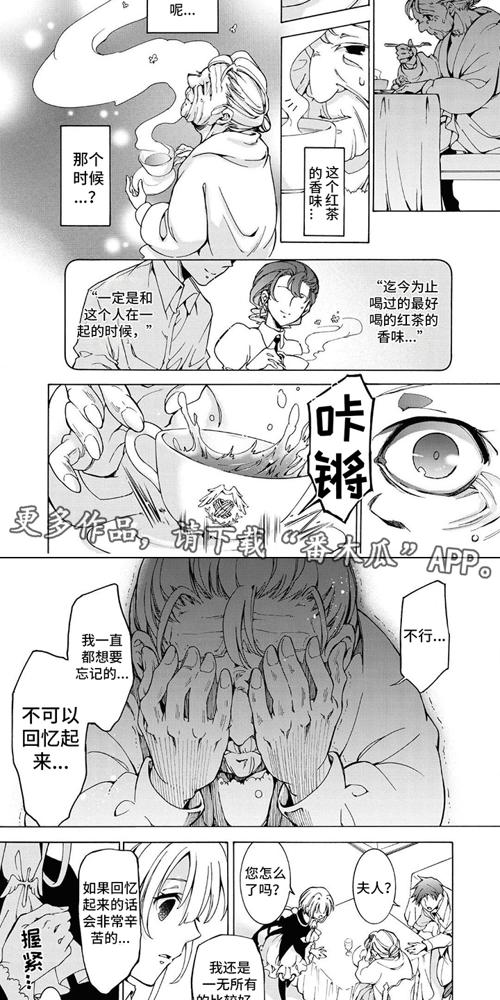 葬花吟纯音乐漫画,第20章： 生前回忆2图