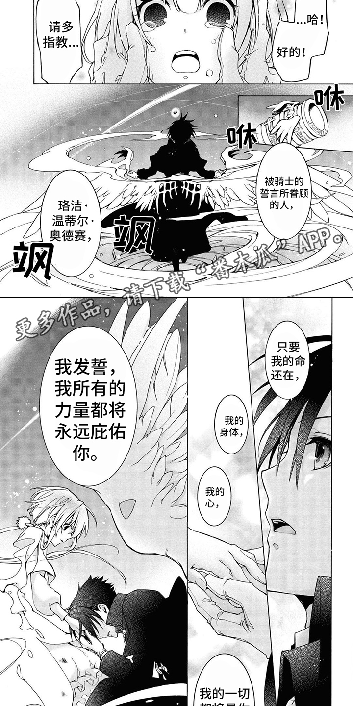 葬花吟二胡简谱漫画,第15章：骑士誓言2图