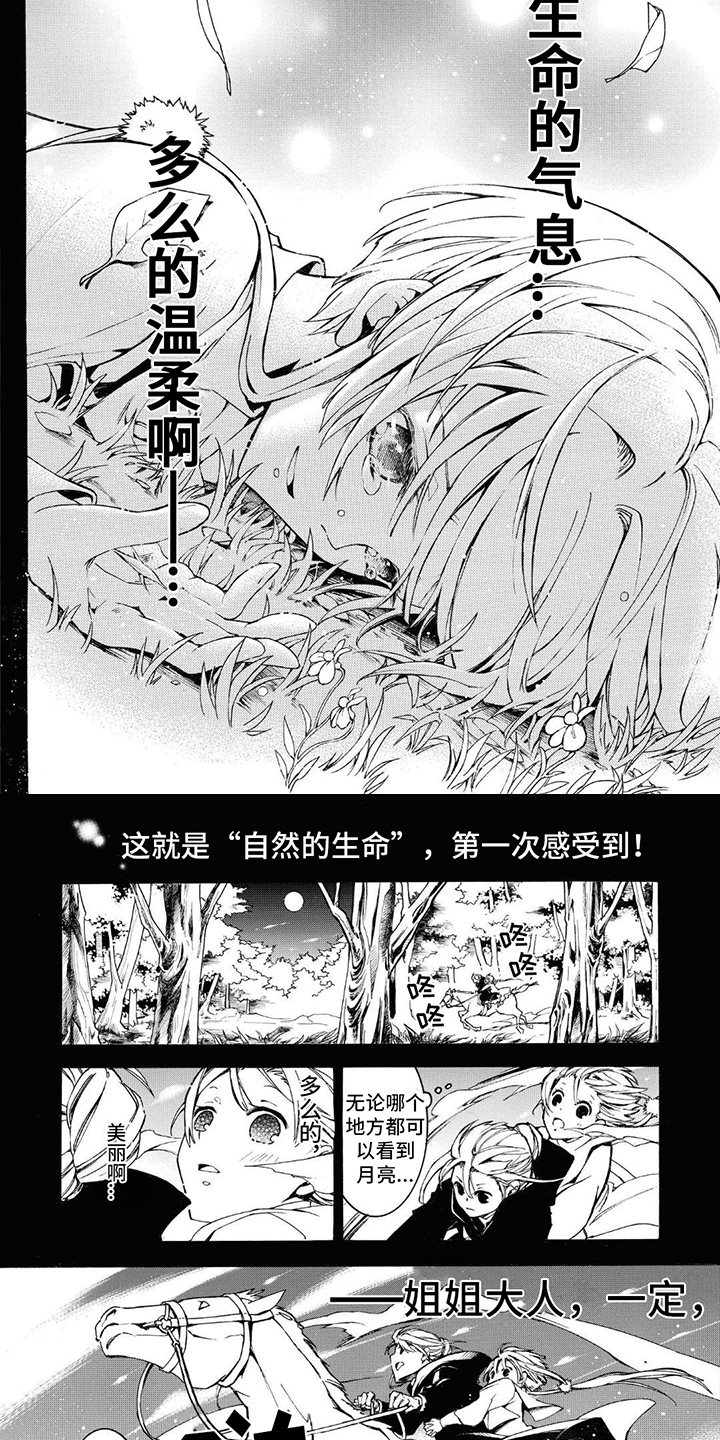 葬花吟二胡简谱漫画,第5章：生命的气息2图