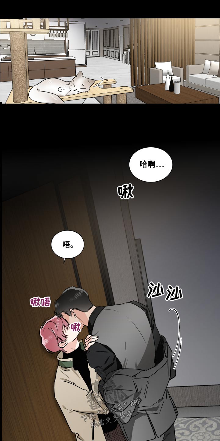 只为你独奏漫画,第92章：名片2图