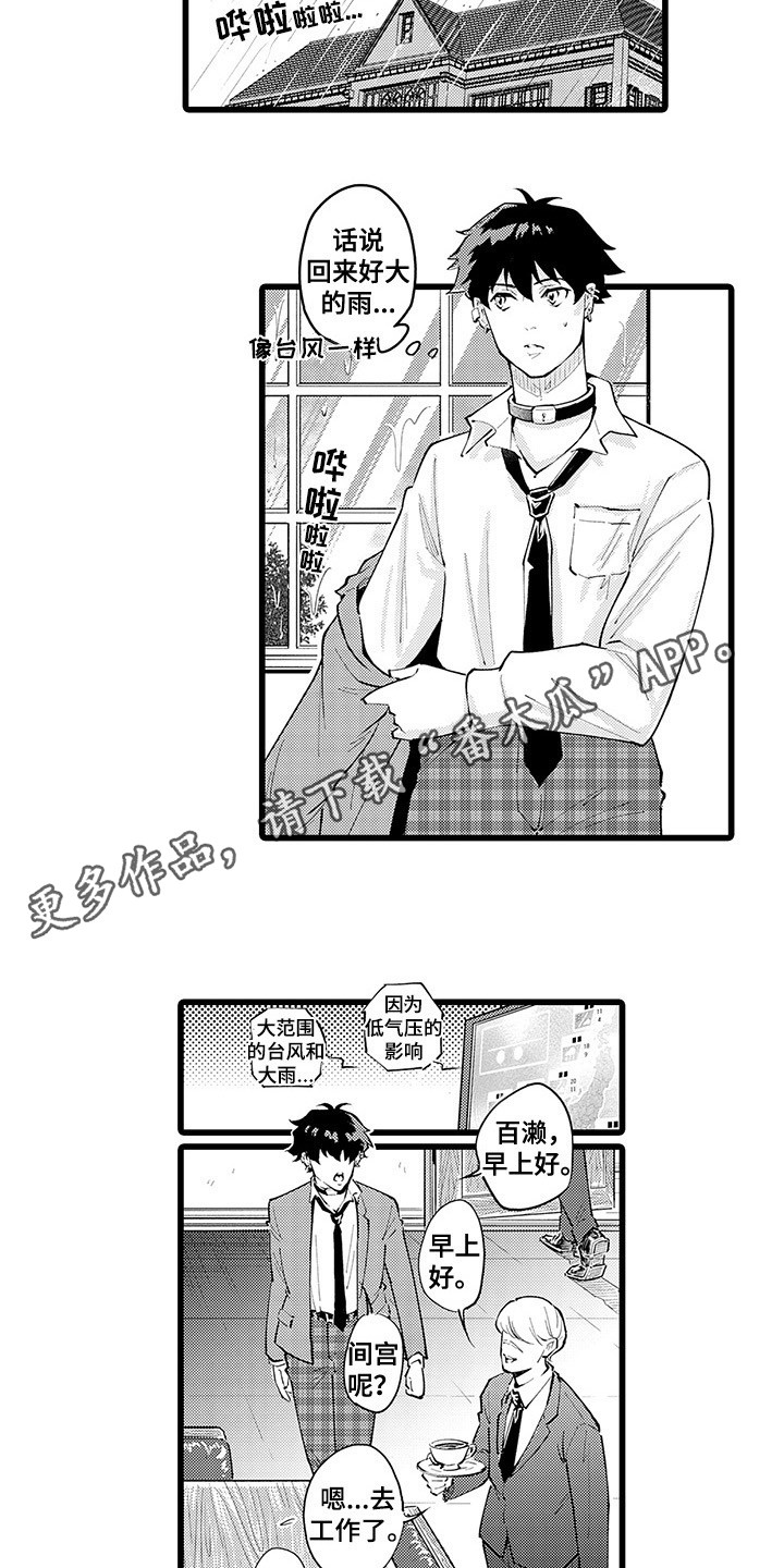 残酷的温柔彭佳慧漫画,第22章：台风2图