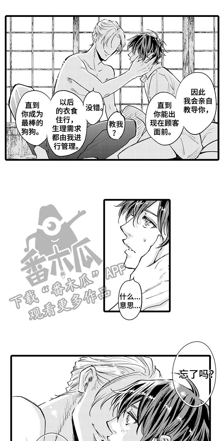 罪恶的黑帮漫画,第4章：逃不掉2图