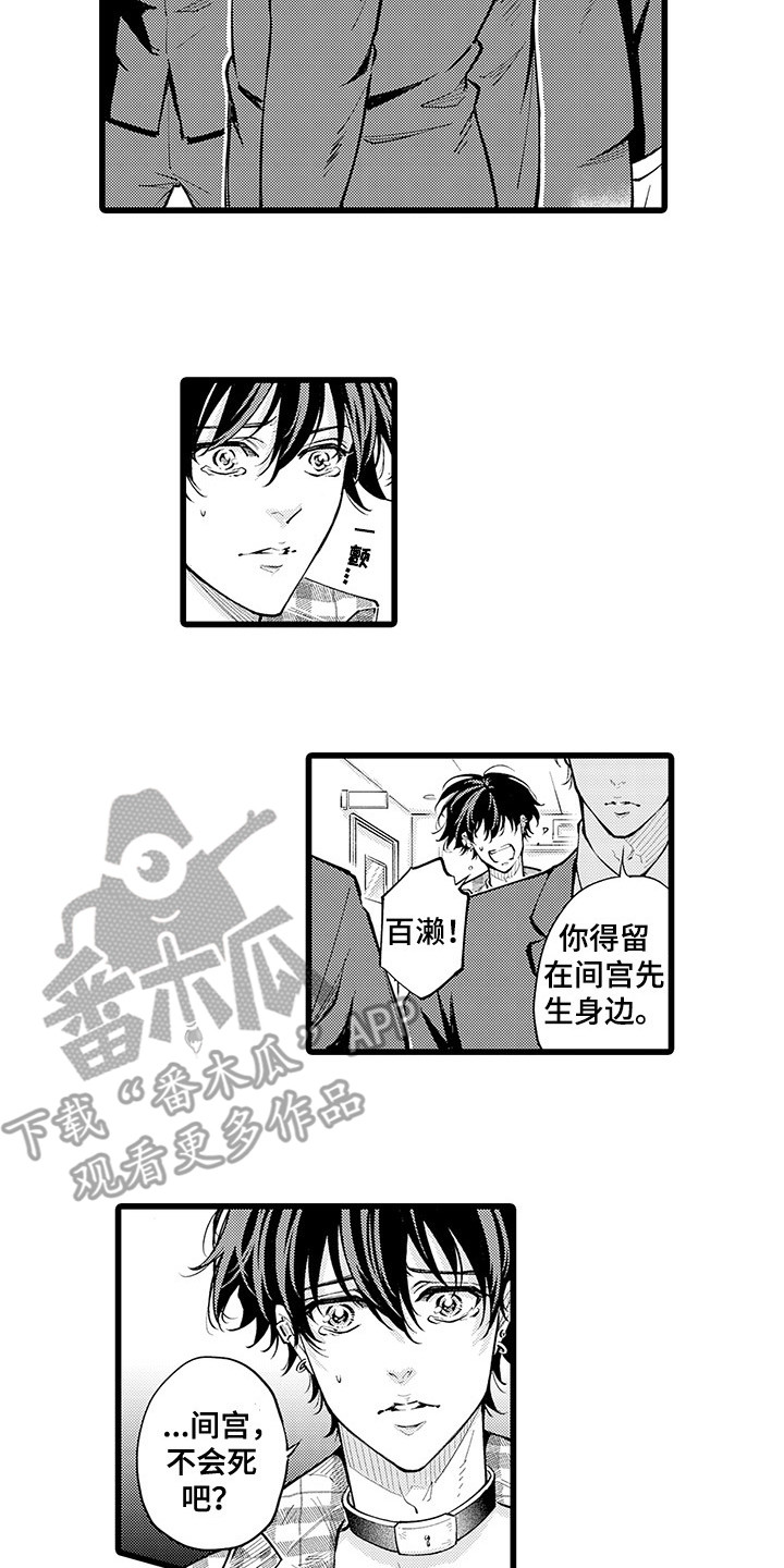 残酷的情人电影免费观看漫画,第34章：挡枪2图