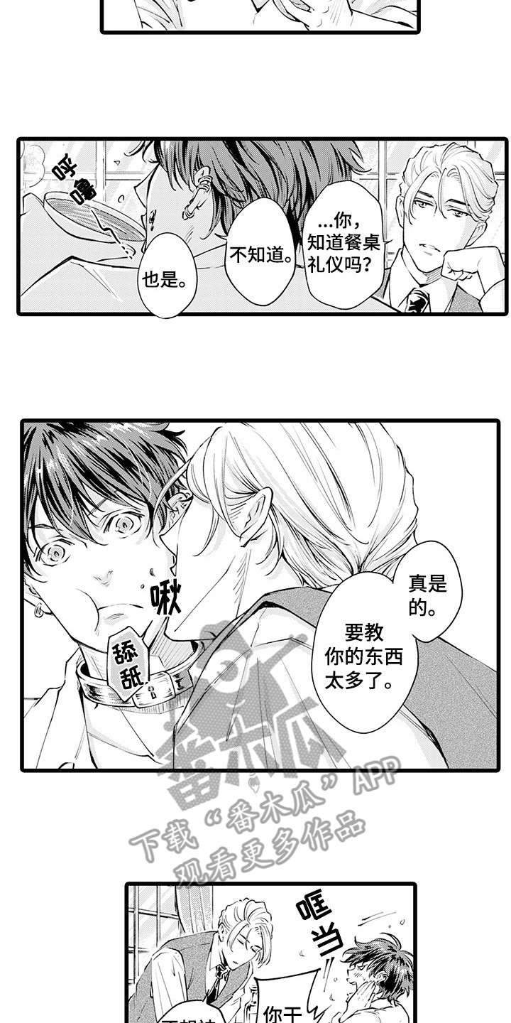 黑帮的残酷漫画,第7章：狼吞虎咽1图