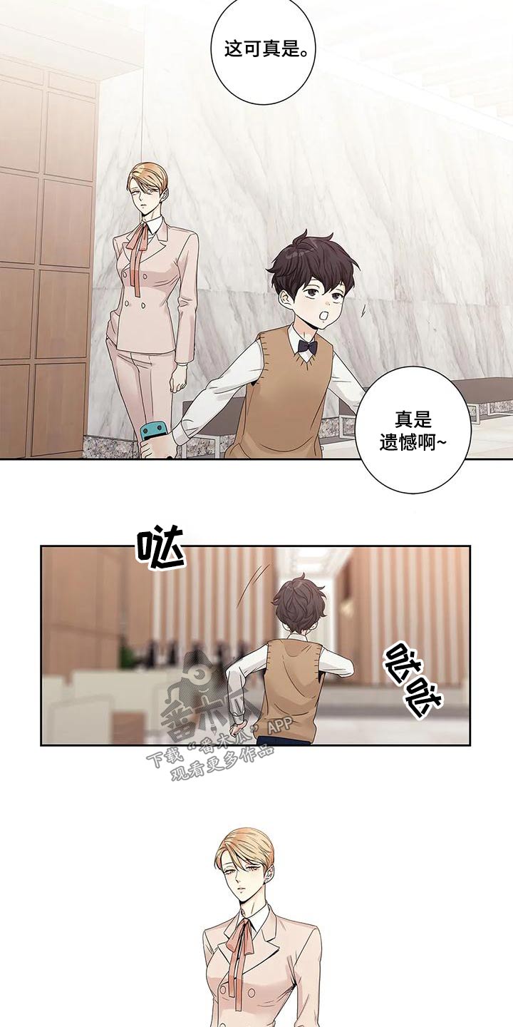 不枉此生泰迪罗宾漫画,第48章：订婚日2图